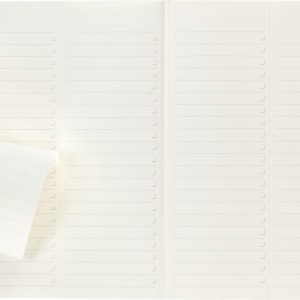 Notes MOLESKINE PROFESSIONAL A4 (21x29,7 cm), miękka oprawa, 192 strony, czarny