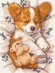 Malowanie po numerach IDEYKA, 30x40 cm, śpiący corgi, 1 szt.