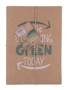 Zeszyt ECONOVO, z recyklingu, A5, 32 kart., 70gsm, 2 szt., naturalny