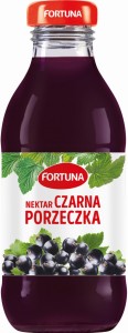 Nektar FORTUNA, czarna porzeczka, szkło, 0,3l